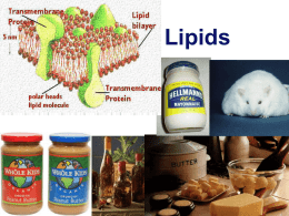 Lipids: Fats & Oils - Hutchinson Science