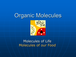 Organic Molecules - University of Dayton