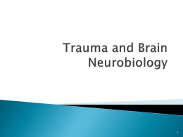 Trauma and Brain Neurobiology