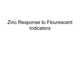 Zinc Response to Flourescent Indicators
