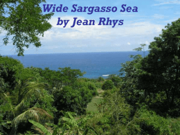 Historical Background of Wide Sargasso Sea