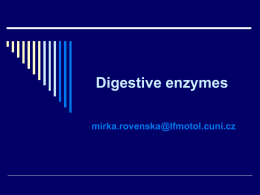 Digestive enzymes - Univerzita Karlova v Praze