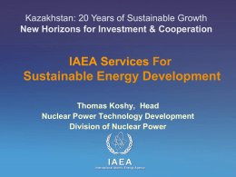 IAEA’s International Project on Innovative Nuclear