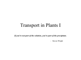 Transport in Plants I - Western Washington University