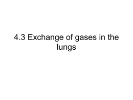4.3 Exchange of gases in the lungs