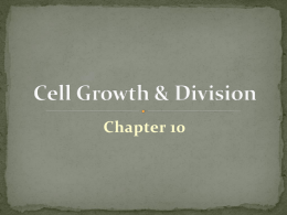 Cell Growth & Division - Northwest Allen County Schools