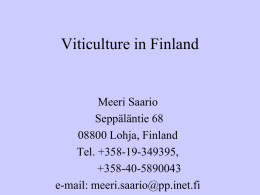 Viticulture in Finland