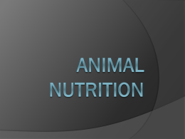Animal Nutrition - Biology at Mott