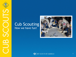 Cub Scouting