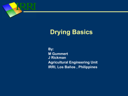 Drying basics - Home - IRRI Rice Knowledge Bank