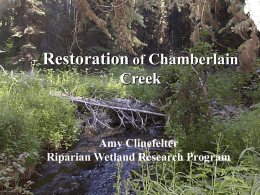 Restoration of Chamberlain Creek
