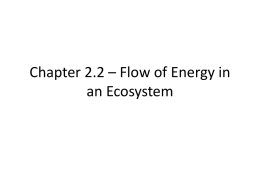 Chapter 2.2 – Flow of Energy in an Ecosystem