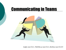 Business Communication: Process and Product, 3e