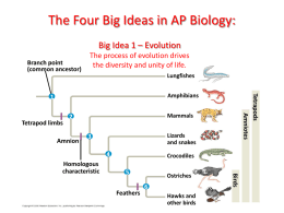 The Four Big Ideas in AP Biology: