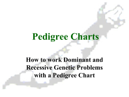 Pedigree Charts - Miss Stanley Cyber Classroom
