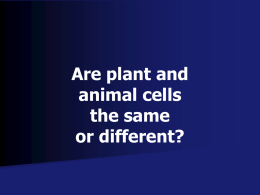 Are plant and animal cells the same or different?