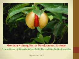 Grenada Nutmeg Sector Development Strategy