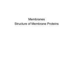 Membranlar - mustafaaltinisik.org.uk