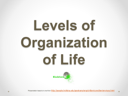 Levels of Organization