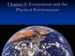 Chapter 6: Ecosystems and the Physical Environment