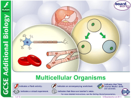 Multicellular Organisms - Thomas A. Stewart Secondary School