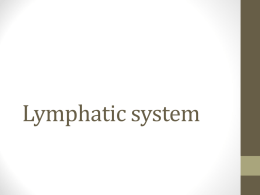 Lymphatic system - Bellefonte Area School District