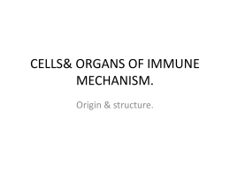 CELLS& ORGANS OF IMMUNE MECHANISM.