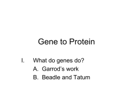 Gene to Protein