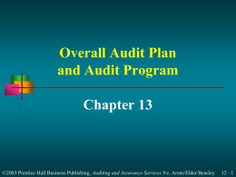 Overall Audit Plan and Audit Program
