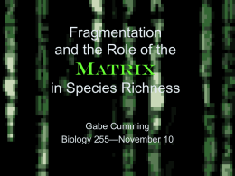 Fragmentation and the Role of the Matrix in Species Richness