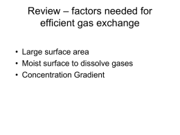 Fish Gas Exchange - Learning on the Loop