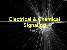 Electrical Signaling-2