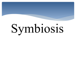 PowerPoint Presentation - Symbiosis