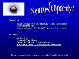Neuroscience Jeopardy