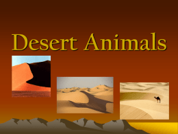 Deserts - Kvsangathanectlt