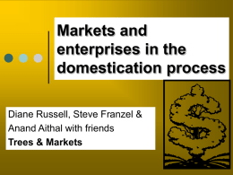 M3S1 Markets and Enterprises Domestication Process