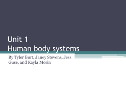 Unit 1 Human body systems