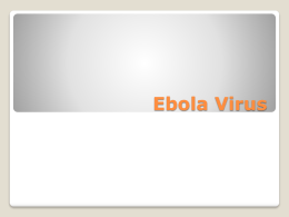 Ebola Virus - Broken Arrow Public Schools