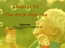 Chapter 11 The Birth Process