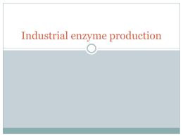 Industrial enzyme production