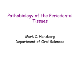 Pathobiology of the Periodontal Tissues