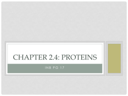 Chapter 2.3: Proteins