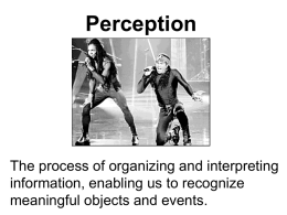 Perception - AP Psychology