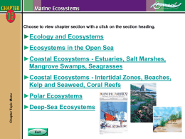 Chapter 16 - Marine Ecosystems