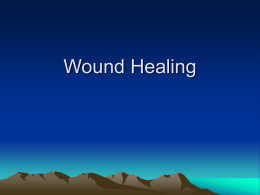 Wound Healing - Caangay Family Site