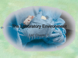 The Laboratory Environment