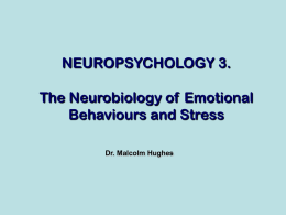 NEUROPSYCHOLOGY 3. The Neurobiology of Emotional