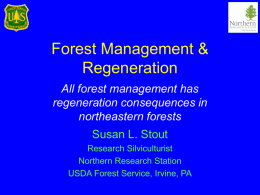 Forest Management & Regeneration