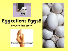 Eggcelent Eggs!! - Welcome to SchoolPage