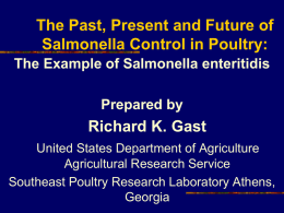 The Past, Present and Future of Salmonella control